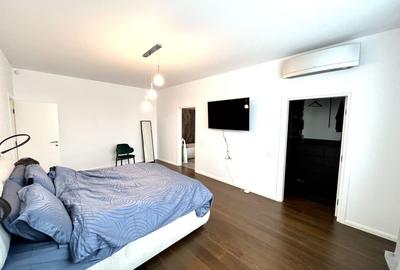 Proprietate deosebita suprafete generoase 580 mp teren 2076 mp - 11