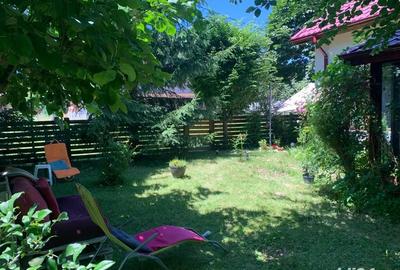 Casă cu 7 camere cu Teren 300 Mp în Lepșa - 4