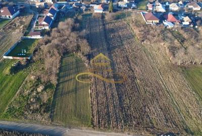 Teren de 2500 mp, în Măgura - 6