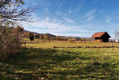 Teren de 990 mp, în Cacica - 1