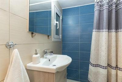 Garsoniera de inchiriat in zona Centrul Civic - 3