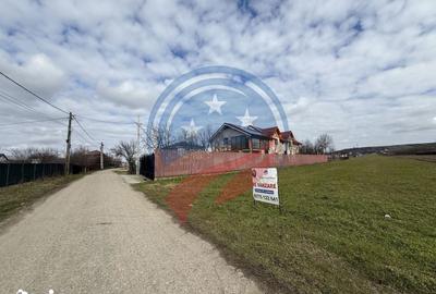 Teren de 1500 mp, în Coșoveni - 3