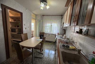 Apartament cu 4 camere decomandat, mobilat în Brazda lui Novac - 9