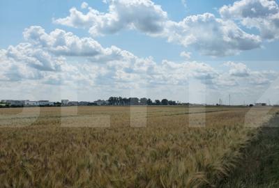 Teren Construcții intravilan de 2829 mp, în Nord-Est - 3