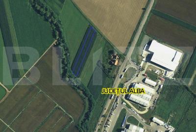 Teren de 3000 mp, în Galda de Jos - 1