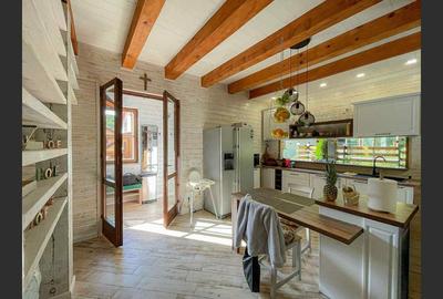 Casa de vacanta superba in Crivaia - 6