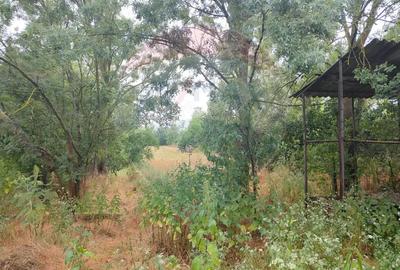 Casa de vanzare in Sinersig - 3