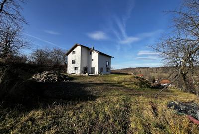 Vila 234 mp, 5 Dormit. Renovata 2019, 20 km BM, Terasa, T - 8