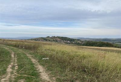 Teren extravilan de vanzare in Tileagd - 3166 mp cu panorama superba - 15