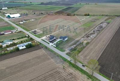 Teren intravilan 10869mp Mircestii Vechi / DJ 204E Teren intravilan 10869mp Mircestii Vechi / DJ 204E - 4