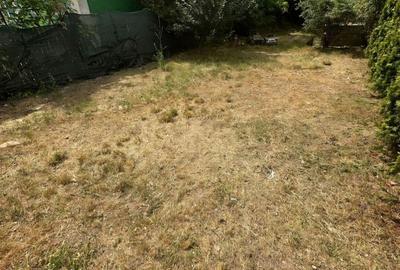 Casă cu 8 camere cu Teren 706 Mp în Cuza Vodă - 1