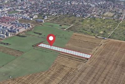 Teren de 6240 mp, în Popești-Leordeni - 3