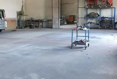 2 Hale cu birouri, vestiare, sala de mese si grupuri sanitare, teren 8868mp, E60, Tileagd BH, - 2