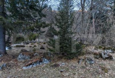 Casa de vacanta de vanzare in Rasnov - Brasov - 23