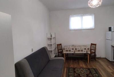 7 Noiembrie - Inchiriere apartament 1 camera - B-dul 22 Decembrie 1989 - 5