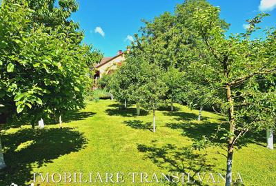 Casă cu 8 camere cu Teren 990 Mp în Independenței - 6