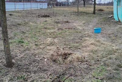 Vand casa batraneasca - 2