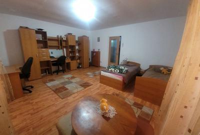 Apartament de 1 camere, 33 mp, mobilat/utilat, zona FSEGA - 1
