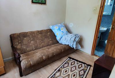 Apartament cu 2 camere decomandat în Exterior Vest - 4