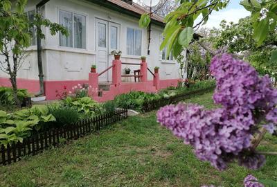 Casă cu 4 camere cu Teren 2200 Mp în Cotnari - 1