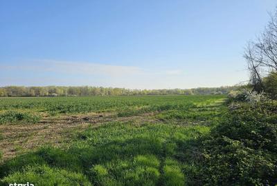 Spațiu comercial, în Potigrafu - 6