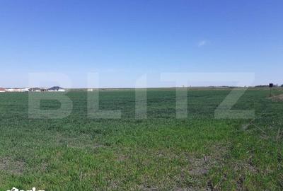 Teren de 30000 mp, în Sânandrei - 2