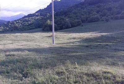 Teren de 10000 mp, în Cheia - 2