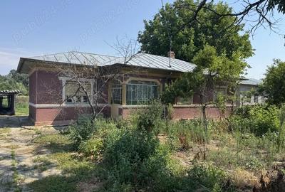 Casă cu 6 camere cu Teren 1950 Mp în Crivăț - 2