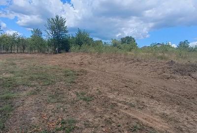 Terenuri cu suprafete intre 500 si 1500 mp in Baicoi, zona Liliesti. - 15