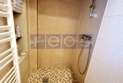 Apartament cu 2 camere semidecomandat, mobilat în Domenii - 10