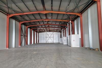 Spațiu industrial, de 1,170 mp, în Cernica - 11