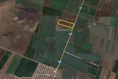 Teren de 25700 mp, în Ștefăneștii de Sus - 2