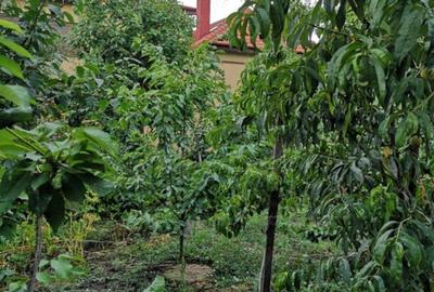 Casă cu 4 camere în Mehala