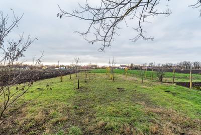 Casă individuală cu 3 camere cu Canalizare în Dorobanți - 2