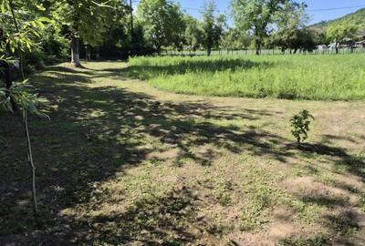 Vind casa in judetul Bihor Luncasprie - 8