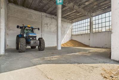 Spațiu industrial, de 6,179 mp, în Orțișoara - 19