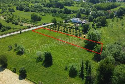 Teren de vanzare in comuna Domne?ti, jude? Arge?. - 10
