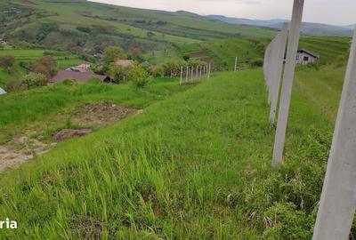 Teren de 2506 mp, în Suceagu - 8