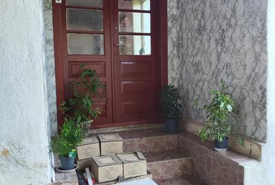 Casa de vacanta de vanzare in Cosdeni - 10