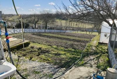 Casă cu Teren 3800 Mp în Redea - 3