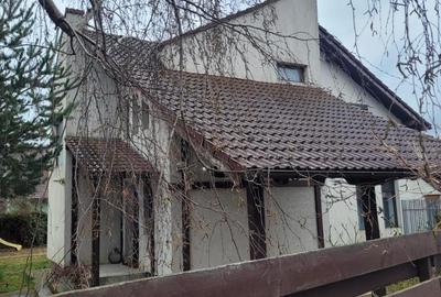 Casă deosebită de vânzare Ștefăneștii Noi, Argeș - 3