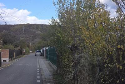 Casă cu 3 camere cu Canalizare în Viforâta - 13