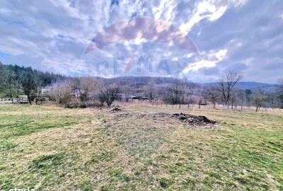 Spațiu comercial, în Luncani - 5