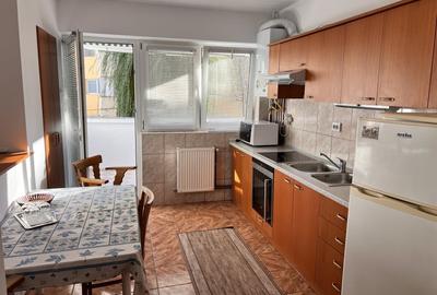 Apartament spatios 3 camere anl Tilisca Calea Poplacii - 3