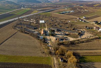 Teren Construcții intravilan de 92161 mp, în Periferie - 5