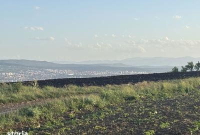 Teren de 1000 mp, în Iris - 8