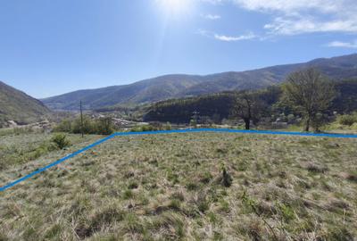 Teren de 2877 mp, în Pecinișca - 1