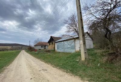 Casă individuală cu 2 camere cu Teren 2800 Mp în Geaca - 1