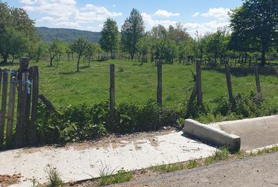 Teren de 19116 mp, în Coșești - 2