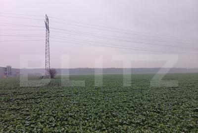 Teren intravilan , 15000mp , Zona Lido Garbea - 8